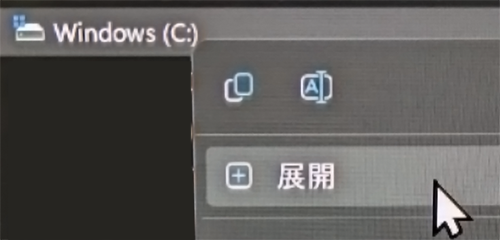 Sample_Win11_ExposeUI